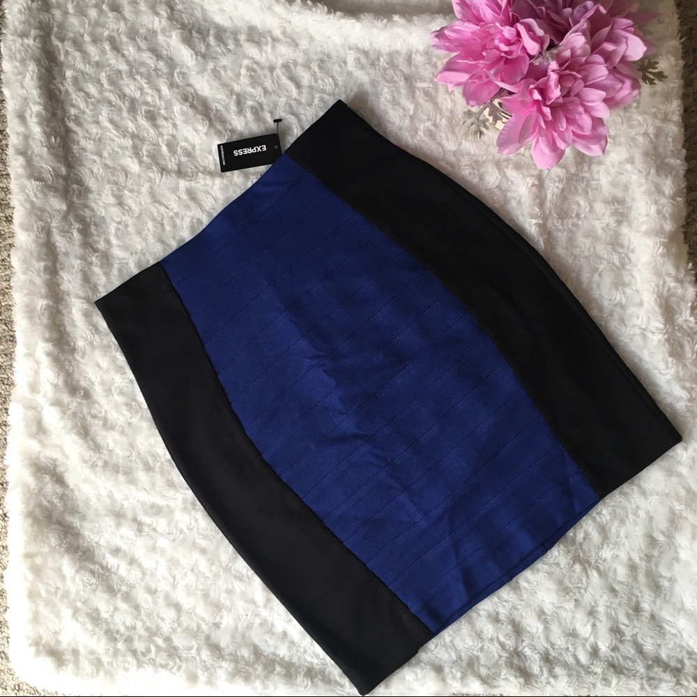 Express Skirt NWT Size 2